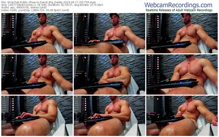 stripchat-david_big_daddy-04-17-2024-20-17-54