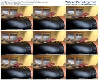 stripchat-playdog123-04-17-2024-14-21-49