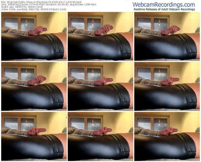 stripchat-playdog123-04-17-2024-14-21-49