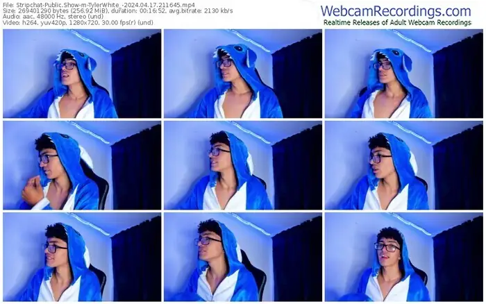 stripchat-tylerwhite_-04-17-2024-21-16-45