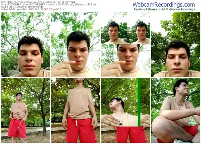 stripchat-_ottis_-04-17-2024-13-11-37