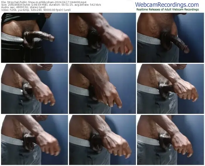 stripchat-phbbcsham-04-17-2024-04-44-08