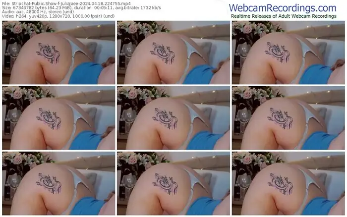 stripchat-juliajaee-04-18-2024-22-47-55