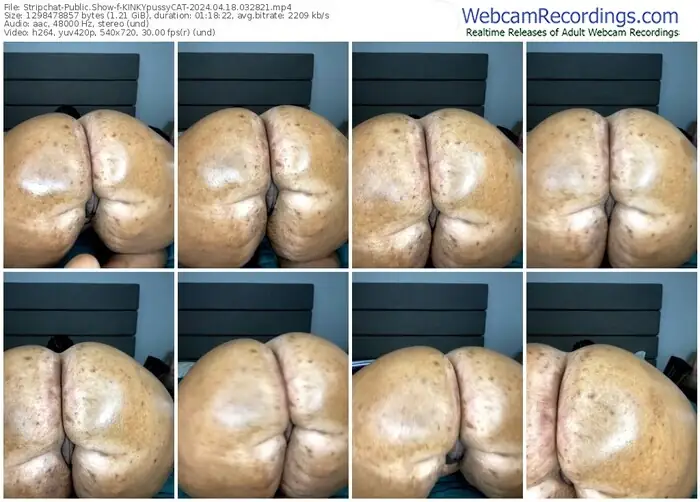 stripchat-kinkypussycat-04-18-2024-03-28-21