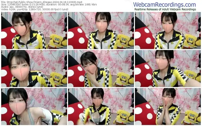 stripchat-karin_ahegao-04-18-2024-11-06-00