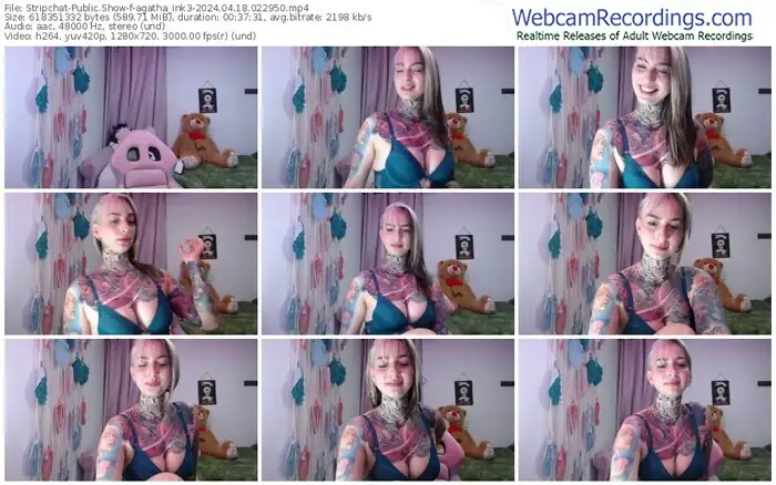 stripchat-agatha_ink3-04-18-2024-02-29-50