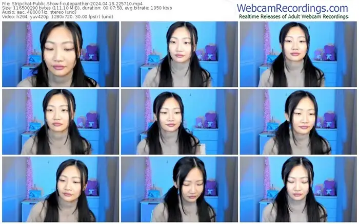 stripchat-cutepanther-04-18-2024-22-57-10