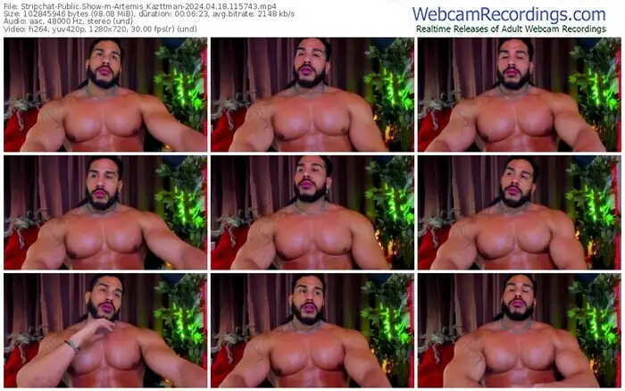 stripchat-artemis_kazttman-04-18-2024-11-57-43