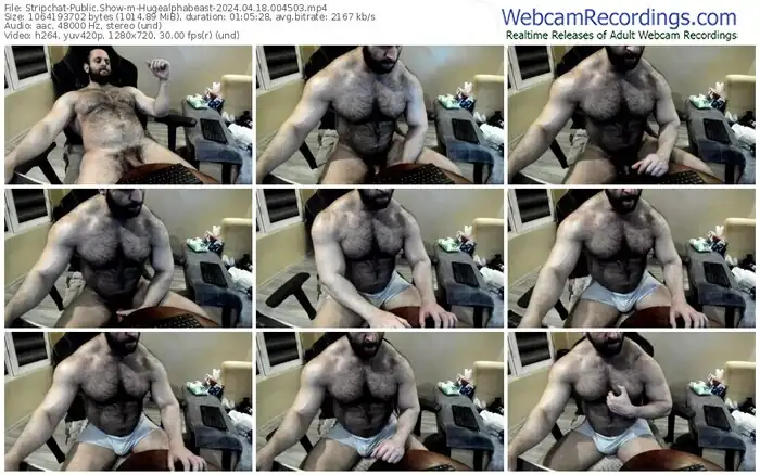 stripchat-hugealphabeast-04-18-2024-00-45-03