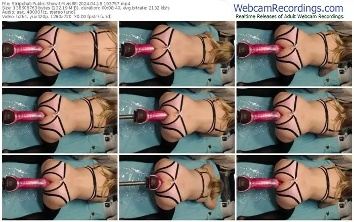 stripchat-ylvis88-04-18-2024-19-37-57