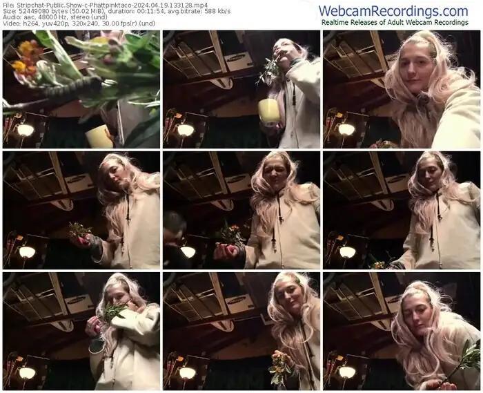 stripchat-phattpinktaco-04-19-2024-13-31-28