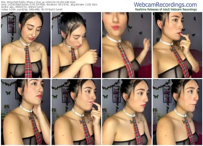 stripchat-zoe_ex-04-19-2024-00-12-46