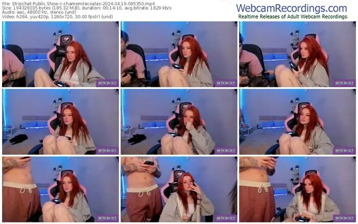 stripchat-chamomilecoalas-04-19-2024-06-53-50