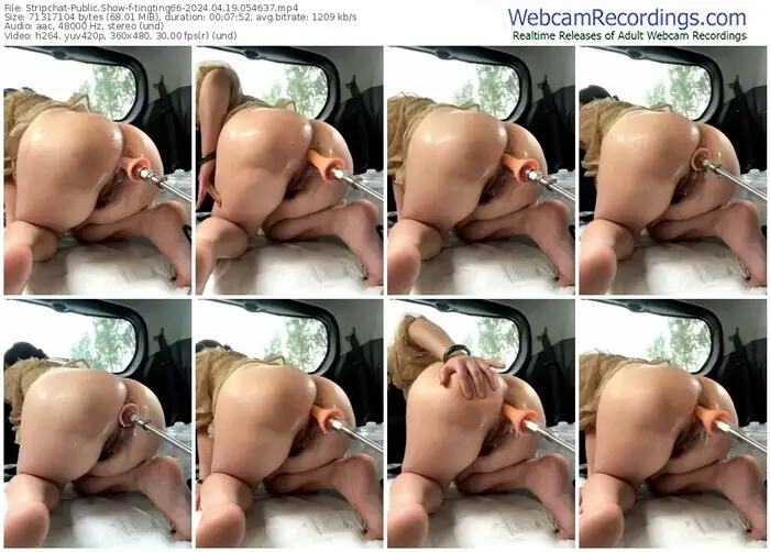 stripchat-tingting66-04-19-2024-05-46-37