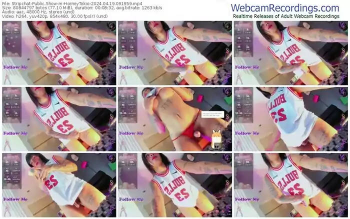 stripchat-horneytokio-04-19-2024-09-19-59