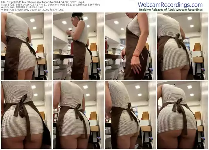 stripchat-gatitacarlita-04-20-2024-13-32-01