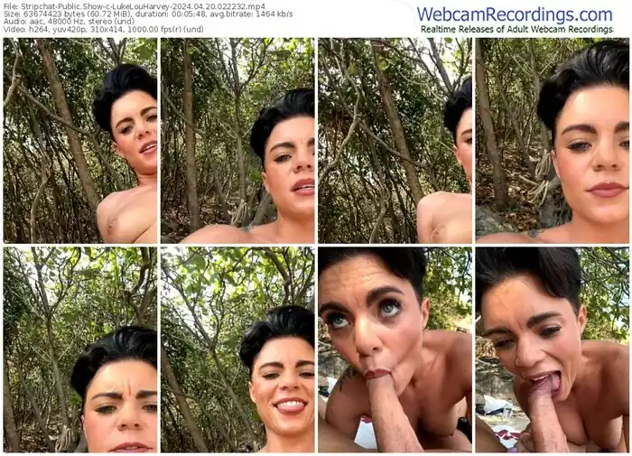 stripchat-lukelouharvey-04-20-2024-02-22-32