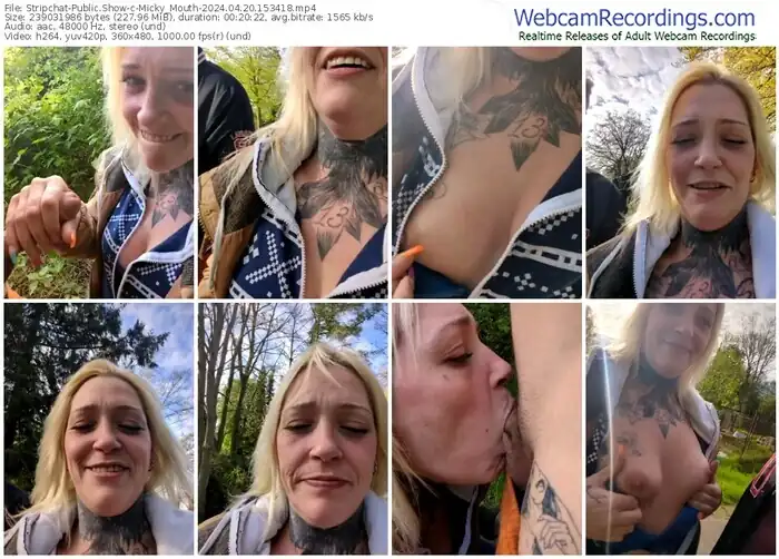 stripchat-micky_mouth-04-20-2024-15-34-18