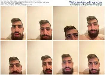 stripchat-artemyz6-04-20-2024-00-47-04