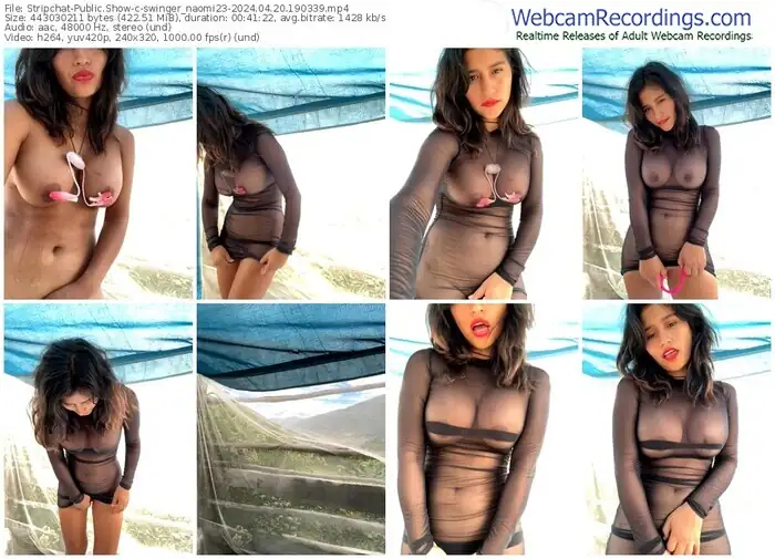 stripchat-swinger_naomi23-04-20-2024-19-03-39