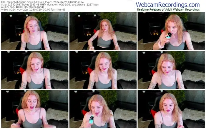 stripchat-cassie_evans-04-20-2024-04-03-05