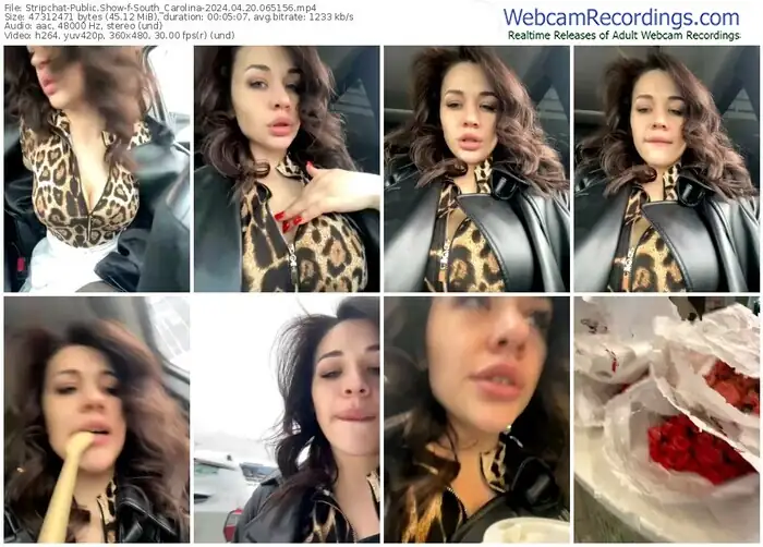 stripchat-south_carolina-04-20-2024-06-51-56