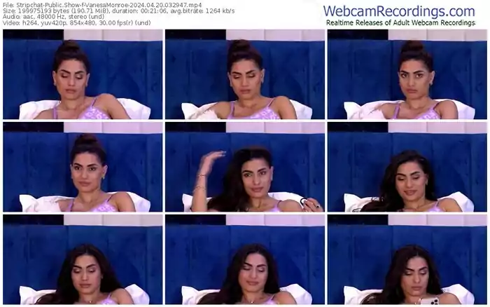 stripchat-vanesamonroe-04-20-2024-03-29-47