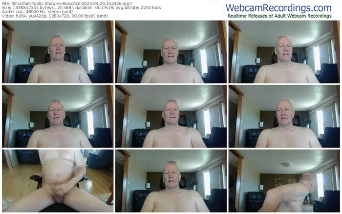 stripchat-basicant-04-20-2024-15-24-26