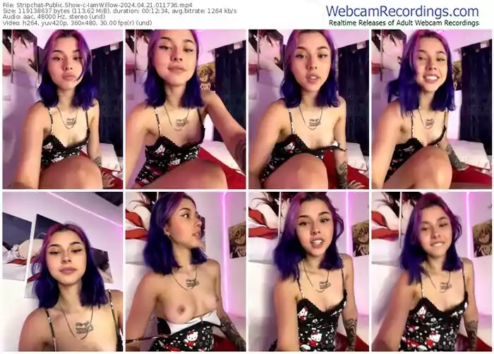 stripchat-iamwillow-04-21-2024-01-17-36