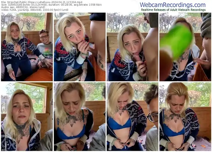 stripchat-lehefxxxx-04-21-2024-11-53-34