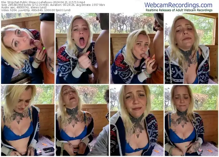 stripchat-lehefxxxx-04-21-2024-11-57-13