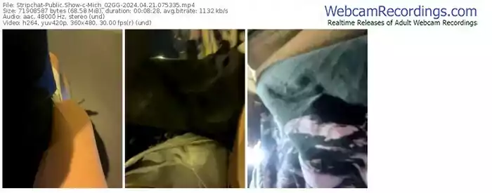 stripchat-mich_02gg-04-21-2024-07-53-35