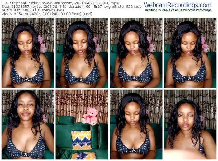 stripchat-nebroowny-04-21-2024-17-08-38