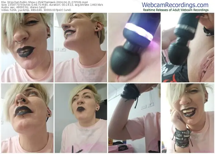 stripchat-pinkthehawk-04-21-2024-07-05-09
