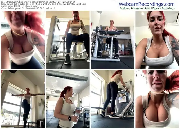 stripchat-black-flamingo-04-21-2024-12-31-38