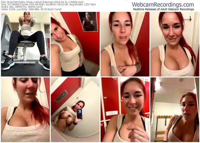 stripchat-black-flamingo-04-21-2024-13-38-05