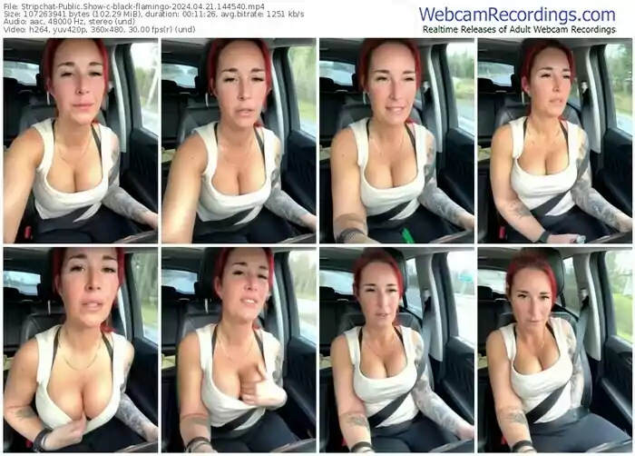 stripchat-black-flamingo-04-21-2024-14-45-40