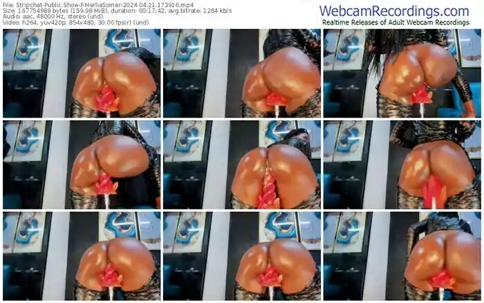 stripchat-merliasomer-04-21-2024-17-39-16