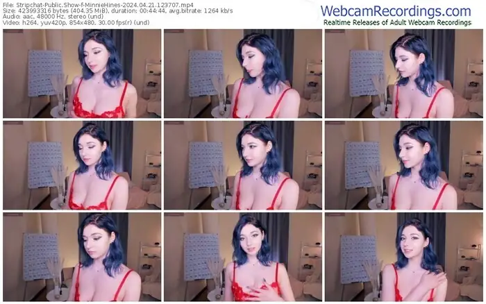 stripchat-minniehines-04-21-2024-12-37-07