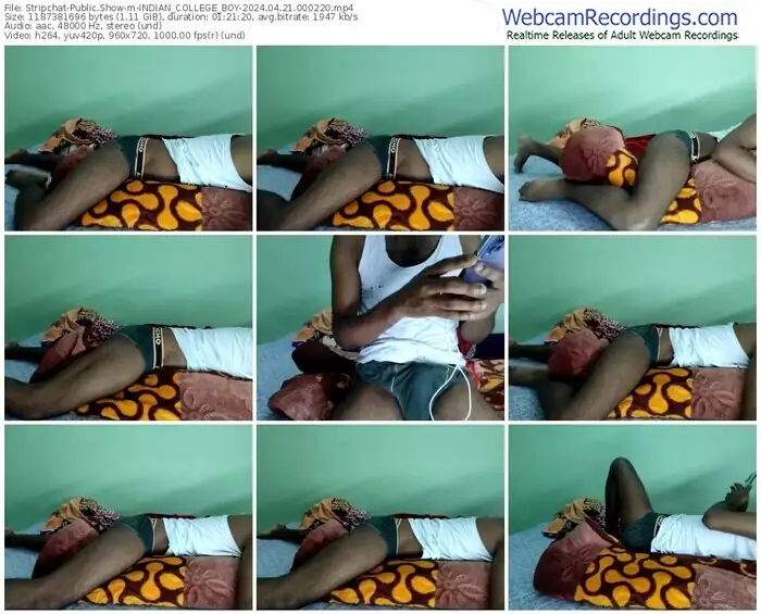 stripchat-indian_college_boy-04-21-2024-00-02-20
