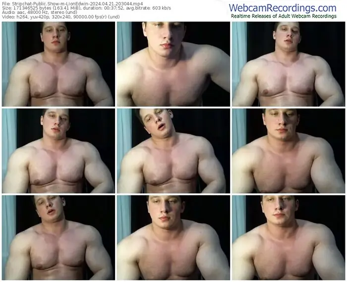 stripchat-lionedwin-04-21-2024-20-30-44