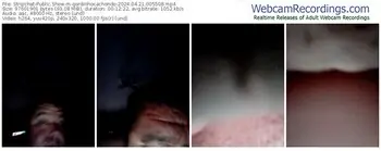 stripchat-gordinhocachondo-04-21-2024-00-55-08