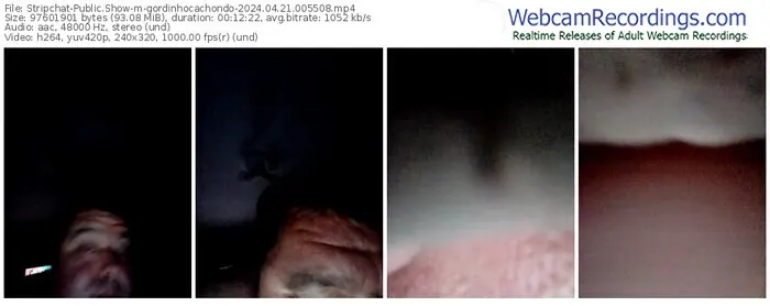 stripchat-gordinhocachondo-04-21-2024-00-55-08