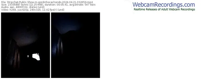 stripchat-gordinhocachondo-04-21-2024-03-26-59