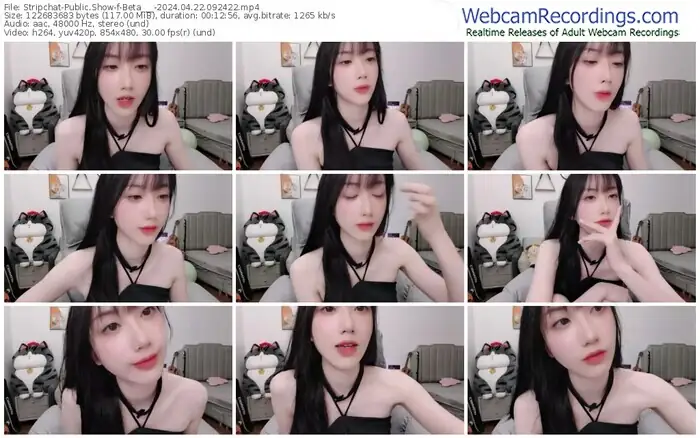 stripchat-beta___-04-22-2024-09-24-22