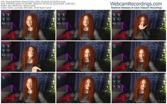 stripchat-dana_wolv-04-22-2024-02-25-19