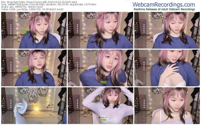 stripchat-sunny-bb-04-22-2024-01-02-25