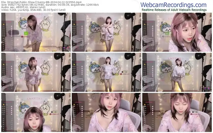 stripchat-sunny-bb-04-22-2024-02-35-56