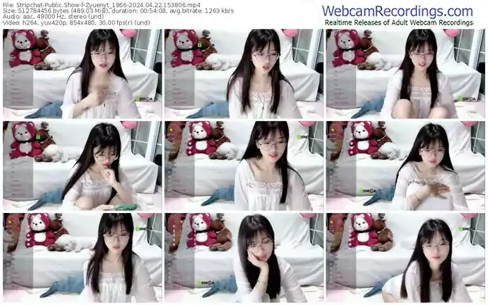 stripchat-zyuenyt_1866-04-22-2024-15-38-06