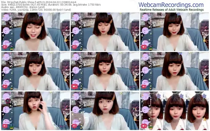 stripchat-a0513-04-22-2024-13-38-00